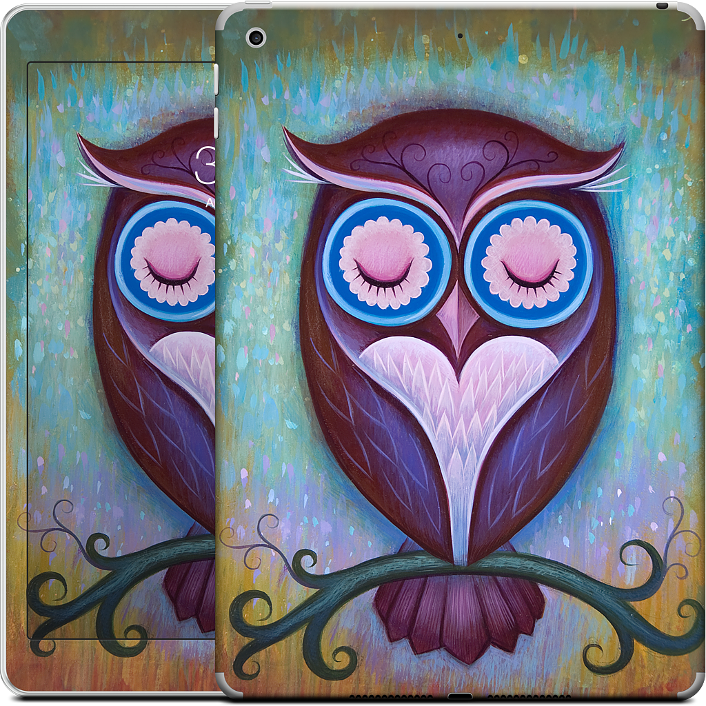 Sleepy Owl iPad Skin