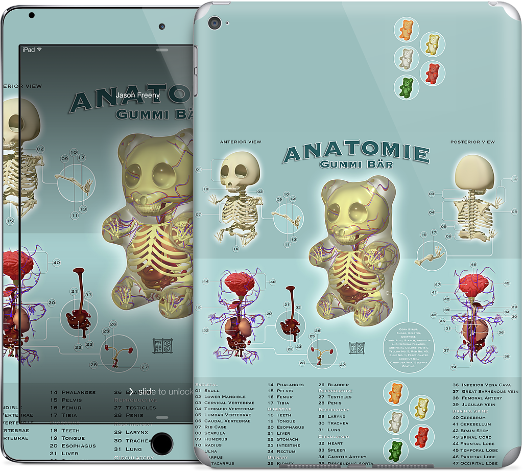 Gummi Anatomie iPad Skin