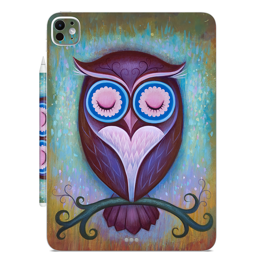 Sleepy Owl iPad Skin