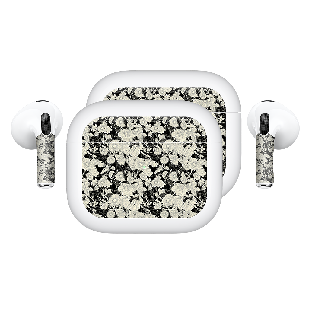 Hide and Seek AirPods