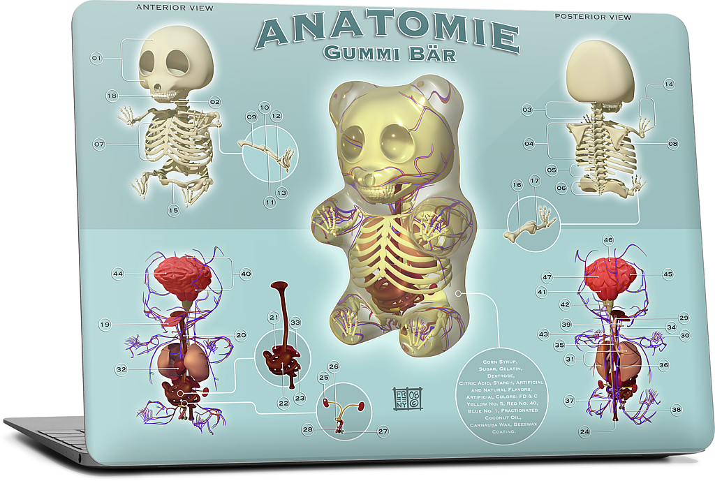 Gummi Anatomie MacBook Skin