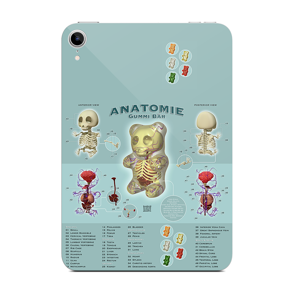 Gummi Anatomie iPad Skin