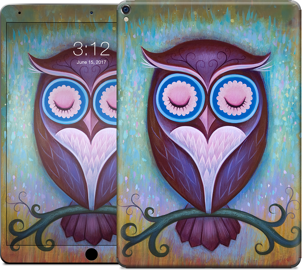 Sleepy Owl iPad Skin