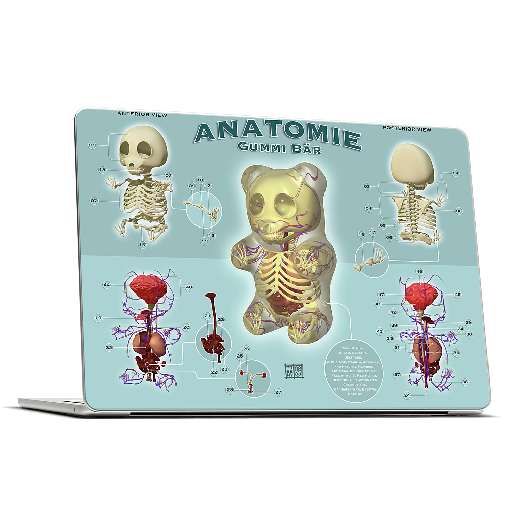 Gummi Anatomie MacBook Skin