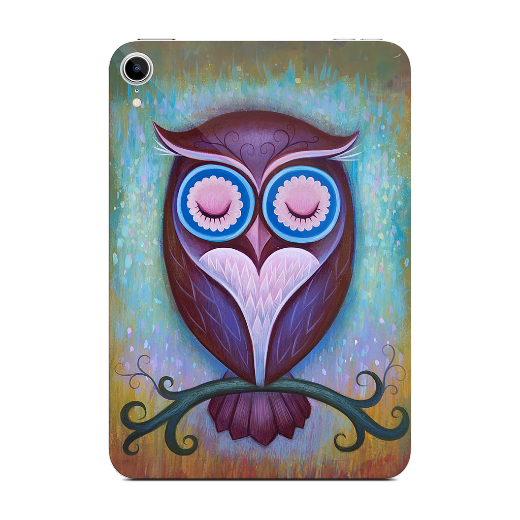 Sleepy Owl iPad Skin