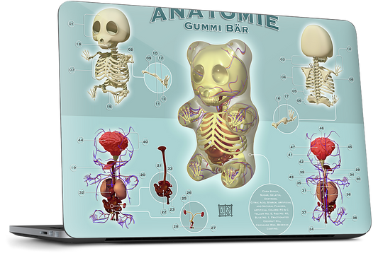 Gummi Anatomie Dell Laptop Skin