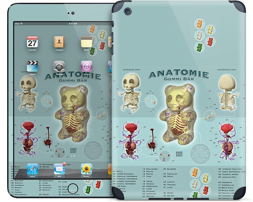 Gummi Anatomie iPad Skin