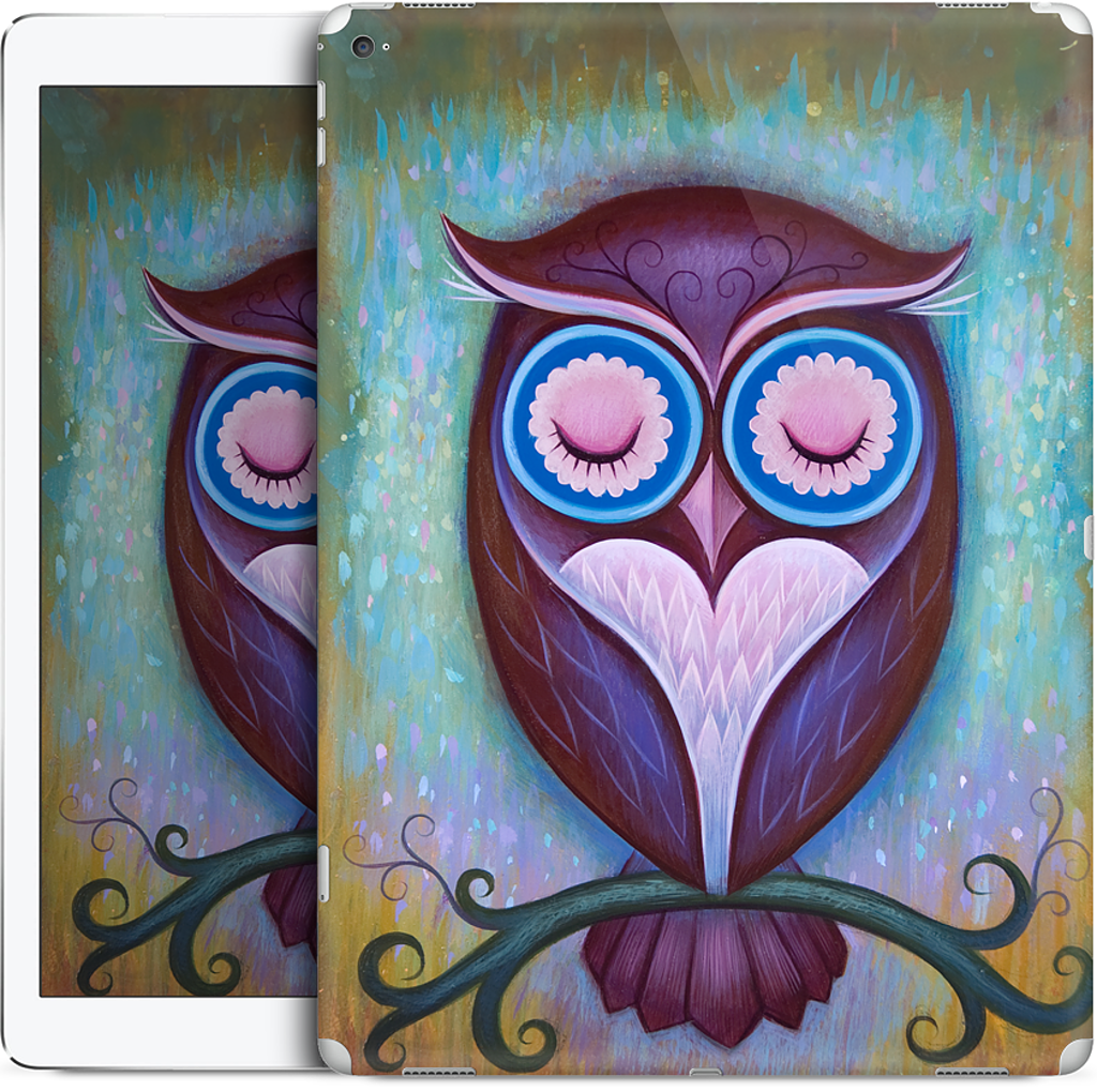 Sleepy Owl iPad Skin