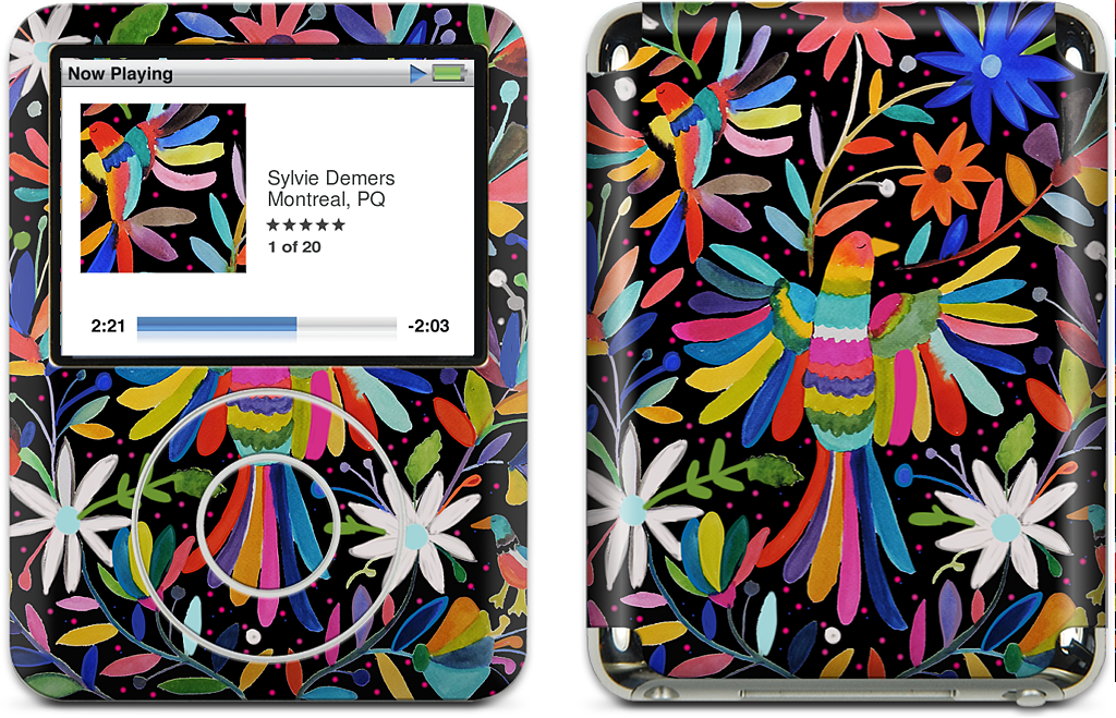 Pajaros iPod Skin