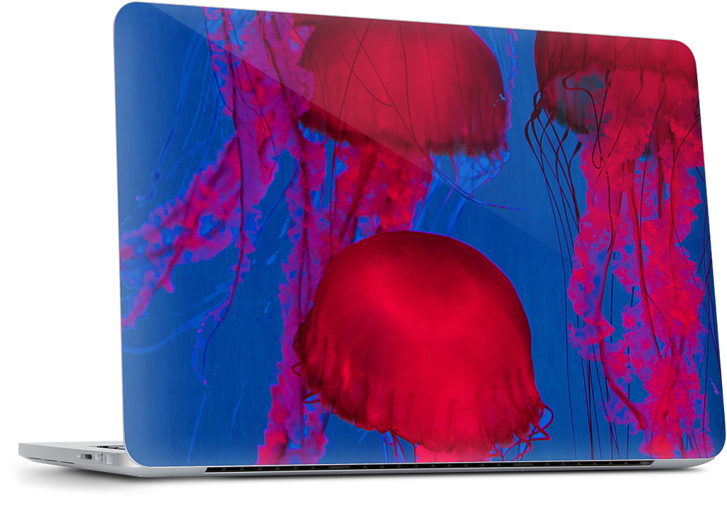 Fuchsia Dream Dell Laptop Skin